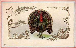 POSTCARD THANKSGIVING TURKEY  EMBOSSED - Picture 1 of 2