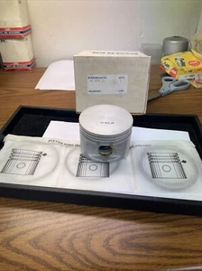 NEW GENUINE KOHLER 47 874 23-S KIT, PISTON W/RING SET .010 - Picture 1 of 3