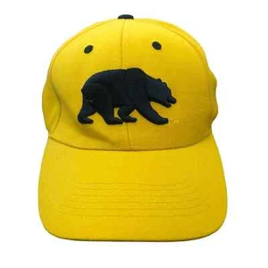 Top Of The World Cal State Golden Bears NCAA Logo Snapback - Picture 1 of 3