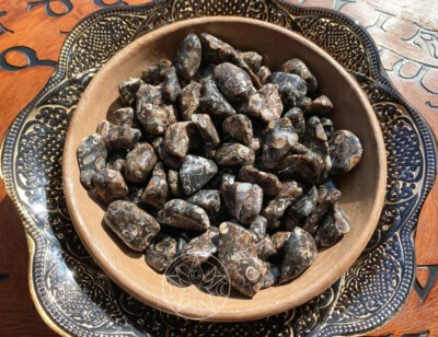 Ágata Turritella AA+ Piedra Caída Cristal Vida Pasada Raíz Chakra Ancestros Foto 1 de 2