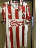 chivas 2021 jersey