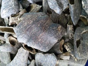 Oud wood Agarwood chips Bakhoor incense Nakornnayok Khao Yai Thailand oudh 400G - Picture 1 of 7