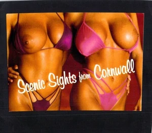 I4192 Cornwall Scenic Sights Topless Beach Babe postcard - Bild 1 von 2