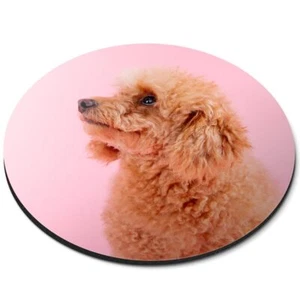 Round Mouse Mat Blonde Poodle Dog Puppy Pink #50303 - Picture 1 of 1