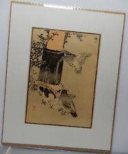Japan Holzschnitt Vogel Felsentaube Stadttaube Tauben 1952 Originalprint derZeit