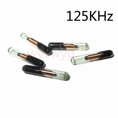 5pcs Micro Bio Glass Tag 125KHz RFID EM4100 Proximity Induction Token 2.12 x12mm - Image 1 of 4
