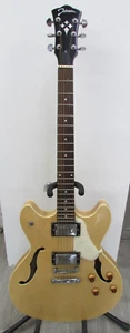 Johnson Electric GUITAR Semi Hollowbody JS 500NA *NICE* - Picture 1 of 14