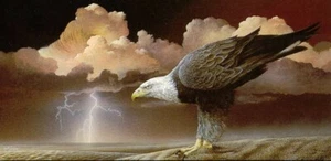 There's a Storm in the Desert...by bill jaxon - Picture 1 of 1