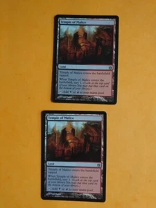 Tempel der Bosheit x2 Seltenes Land Born of the Gods. MTG 2 Karten. - Bild 1 von 3