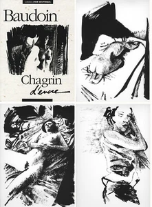 BAUDOIN PORTFOLIO CHAGRIN D'ENCRE - 222 ex. n°/signés en sérigraphie (1998) - Imagen 1 de 1