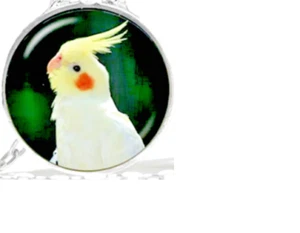 BIRD WHITE COCKATOO  Pendant Charm 925 Silver 20" Necklace Women Gift - Picture 1 of 8