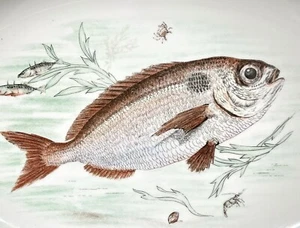 Plato de pescado de porcelana pintado a mano J K W Rosenthal para NEIMAN MARCUS AÑOS 60 - Imagen 1 de 6