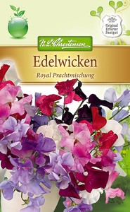 Edelwicke 'Royal Mischung' - Lathyrus odoratus, Duftwicke, Wicke, Samen, 5638