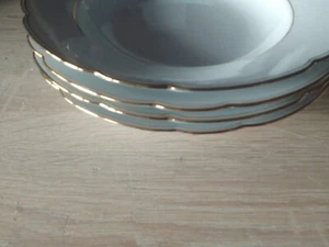 Seltmann Weiden Inka Suppenteller ca Ø 23,5 cm, 4 Stück - Bild 1 von 4