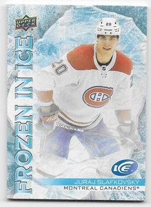 22/23 CUBIERTA SUPERIOR HIELO CONGELADO EN HIELO (SELLADO) Hockey (#FI1-FI50) U-Elige de la lista - Imagen 1 de 5