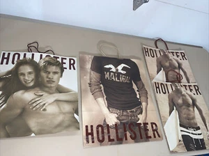 Lote de 4 bolsas de mano de regalo de papel Hollister - Imagen 1 de 12