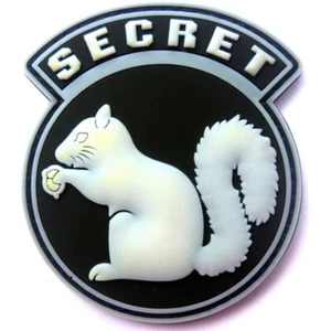 3D PVC SECRET SQUIRREL TACTICAL RUBBER HOOK LOOP PATCH BADGE GLOW IN DARK - Picture 1 of 6