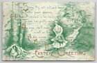Miss Bunny Trig In Easter Gown On Cottage Trail Poem 1910 Postcard O25