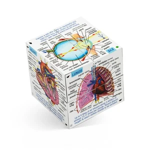 ZooBooKoo Educational Human Body Systems and Statistics Cubebook Science - Imagen 1 de 7