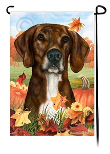 Bandera de jardín Falling Leaves - Brindle and White Plott Hound - Imagen 1 de 1