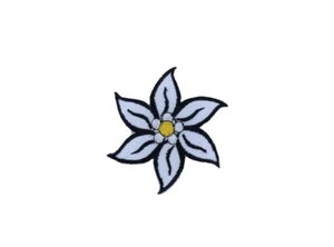 Patch toppe toppa ricamate termoadesiva fiore edelweiss - Bild 1 von 1