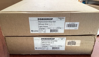 NUEVO 2PK Lithonia Lighting 10.44”x 48.22” Difusor Acrílico Blanco Caído C10 Foto 1 de 4