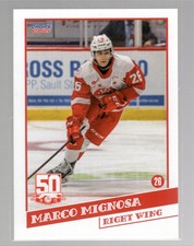 2021/22 Sault Ste. Marie Greyhounds - MARCO MIGNOSA