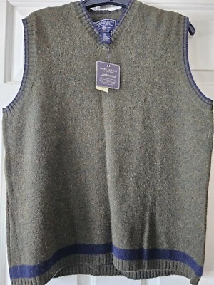 全新带标签 American Eagle Outfitters 羊羔毛 尺寸 M 猎人 绿色 拉过... — 第 1/4 张图片