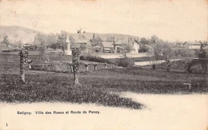 Suisse - Satigny (GE) Villa des roses - Route de Peney - Ed. E.C. Satigny 1 - Picture 1 of 2