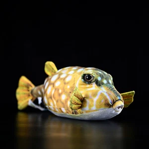 Simulazione scatola maschile pufferfish doll scatola carina pufferfish doll peluche 40 cm - Foto 1 di 5