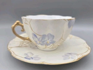 D&C LIMOGES FRANCIA Taza de té DEMITASSE TAZA Y PLATILLO 1800 Violetas Telaraña Dorado - Imagen 1 de 14