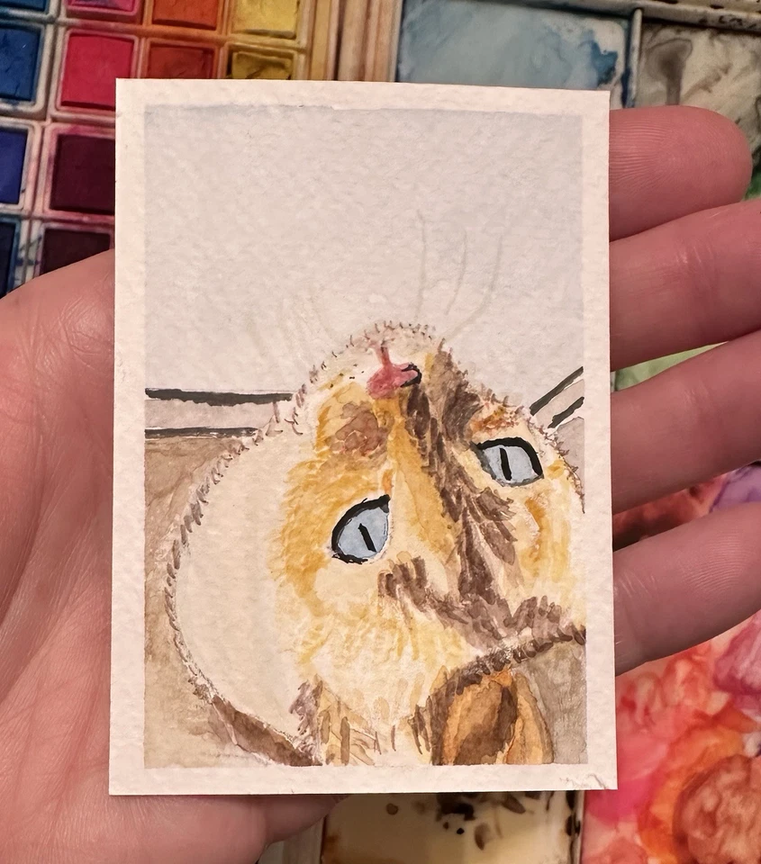 ACEO Original Watercolor Painting Tabby, Cat  At Window Signed 2.5”x3. - Image 1 of 1