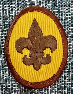 Vintage 80's Boy Scout Insignia Patch Oval BSA Embroidered Gold/Brown - Picture 1 of 2