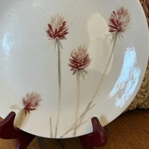 Crate & Barrel Wildflower Milkweed In Blush By Luli Sanchez 9” Plates (4) READ - Picture 1 of 21