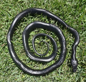 Black Snake - 52" Realistic Rubber Snake Replica AAA - Picture 1 of 12