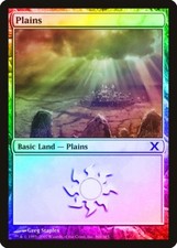 Plains (Version 366) FOIL 10th Edition NM Basic Land MAGIC MTG CARD ABUGames