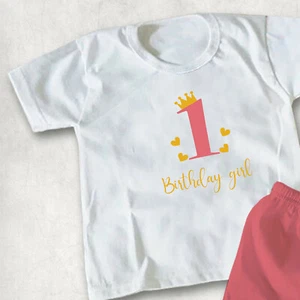 1 Birthday Girl Children's Kid's Birthday T-shirt Top, First Birthday Tee - Picture 1 of 1