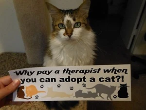 Warum einen Therapeuten bezahlen, wenn man eine Katze adoptieren kann? 3x10 Aufkleber-Aufkleber-MultiCat - Bild 1 von 4