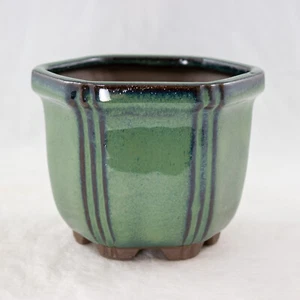 Bonsái verde semi cascada hexagonal / maceta suculenta + malla - 4,25"x 4,25"x 3,25" - Imagen 1 de 6