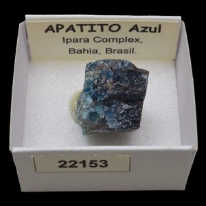 APATITO Azul (Ipara complex, Bahia, Brasil) #22153 / Apatite - Foto 1 di 1