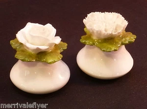 AYNSLEY porcelana AGITADORES INGLESES DE SAL Y PIMIENTA DE ROSA Y CLAVEL capodimonte - Imagen 1 de 5