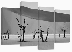 Namib Desert Bare Trees set of 4 split canvas prints framed on bars - Picture 1 of 13
