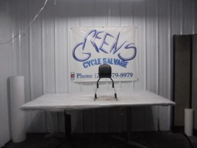 Harley-Davidson Sportster 883 2009 OEM respaldo barra Sissy Foto 1 de 4