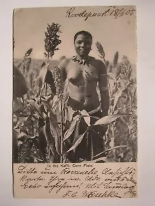 Transvaal Roodepoort 1905 a ALEMANIA - Imagen 1 de 2