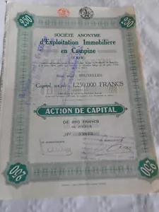 Vintage share certificate Stocks Bonds actions EXIM Immobiliere en campine 1924 - Picture 1 of 2