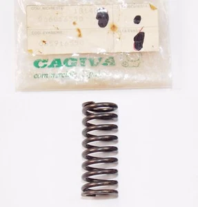 OEM CAGIVA DUCATI 1987 ALAZZURRA 350 MOTOR EMBRAGUE RESORTE 065916550 066016550 - Imagen 1 de 1