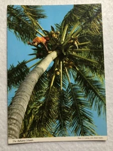 Cartolina Isola delle Bahamas (E1) - Foto 1 di 2