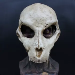 Maschera teschio di lupo resina scheletro viso intero spaventoso oggetti di scena cosplay di Halloween realistici - Foto 1 di 4