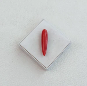100% Natural Italian Red Coral Cabochon Mediterranean Sea Coral Loose Gemstone. - Picture 1 of 5