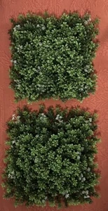 Boxwood Mat/Panel, 10” X 10” - Picture 1 of 7